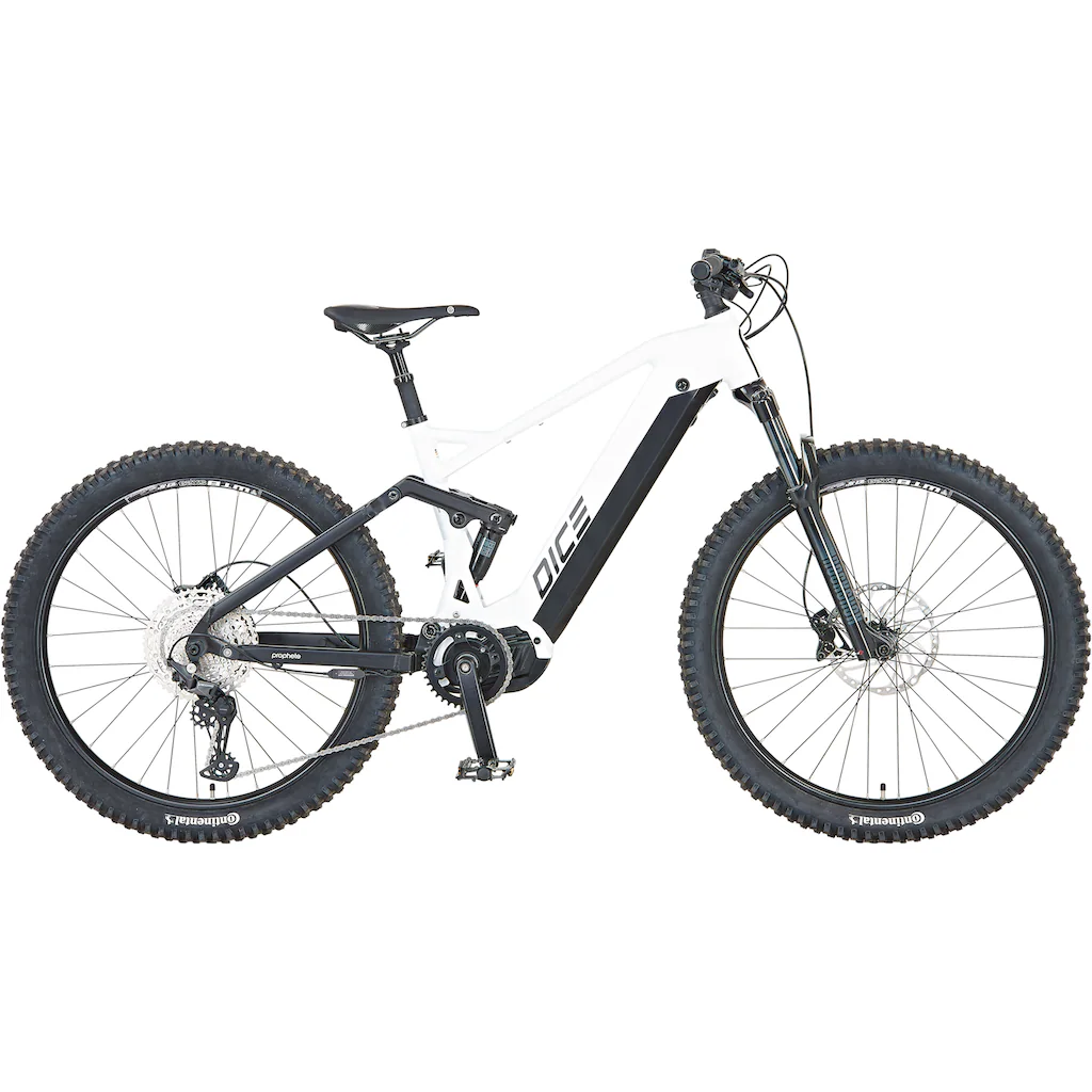 Prophete E-Bike »DICE 5.0« 12 Gang Shimano Mittelmotor 250 W Pedelec Elektrofahrrad für Damen u. Herren MTB Mountainbike