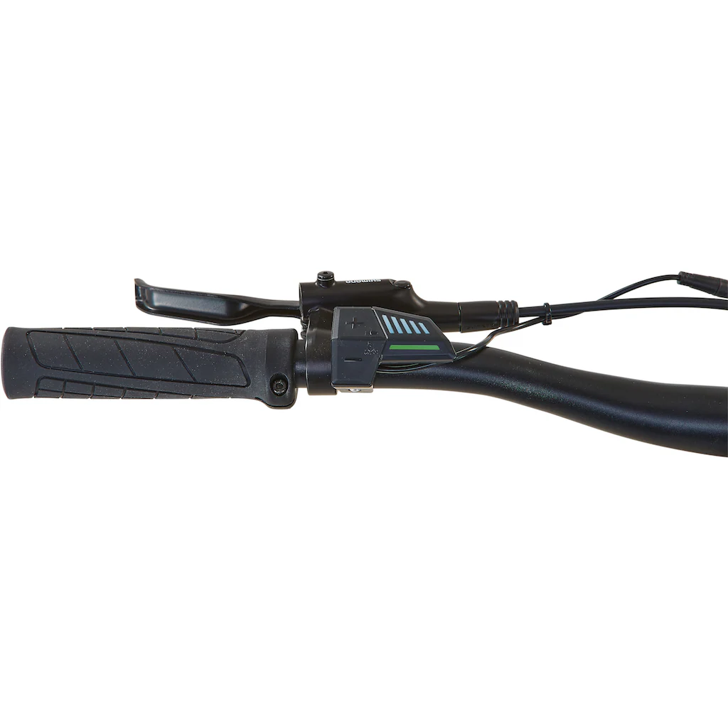 Prophete E-Bike »Dice 1.0« 8 Gang Shimano Altus Heckmotor 250 W Kostenloser Versand