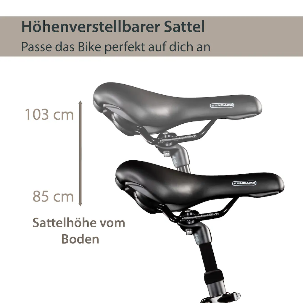 AGON E-Bike »Aurora« 3 Gang Frontmotor 250 W Pedelec Elektrofahrrad für Damen u. Herren Cityrad Limitierter Zeitrabatt