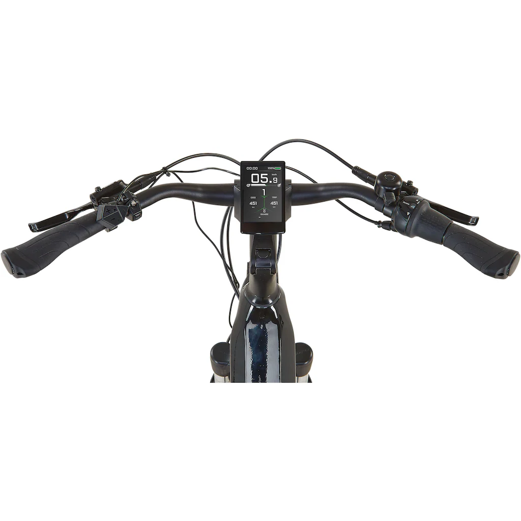 Prophete E-Bike »Geniesser 5.0« 7 Gang Shimano Nexus Mittelmotor 250 W auf Rechnung bestellen Sonderangebot