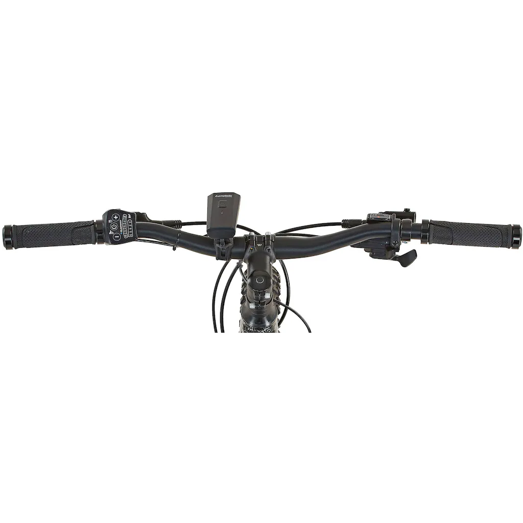 Prophete E-Bike »Graveler eM100« 8 Gang Shimano Altus Heckmotor 250 W Großer Ausverkauf