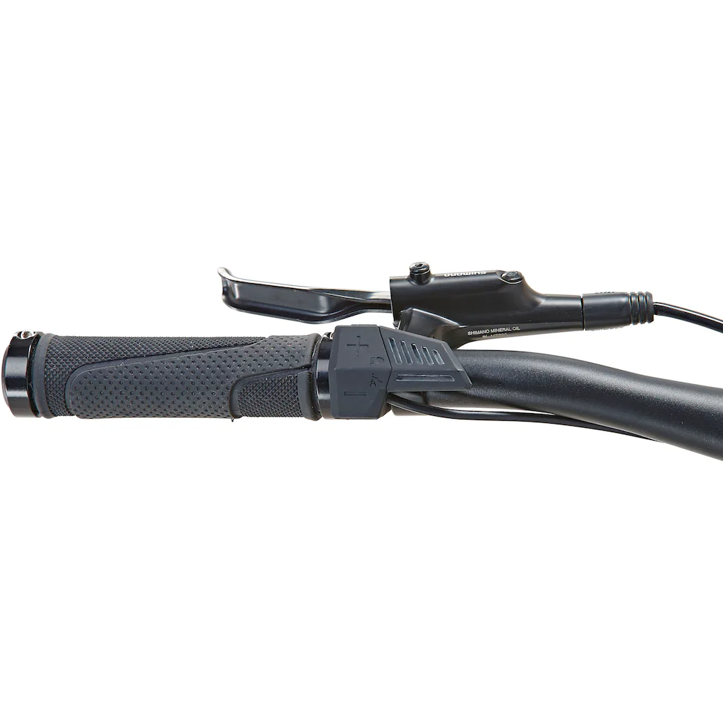 Prophete E-Bike »DICE 1.0« 8 Gang Shimano Altus Heckmotor 250 W Pedelec Elektrofahrrad für Damen u. Herren MTB Mountainbike auf Rechnung online kaufen Muttertagsangebot