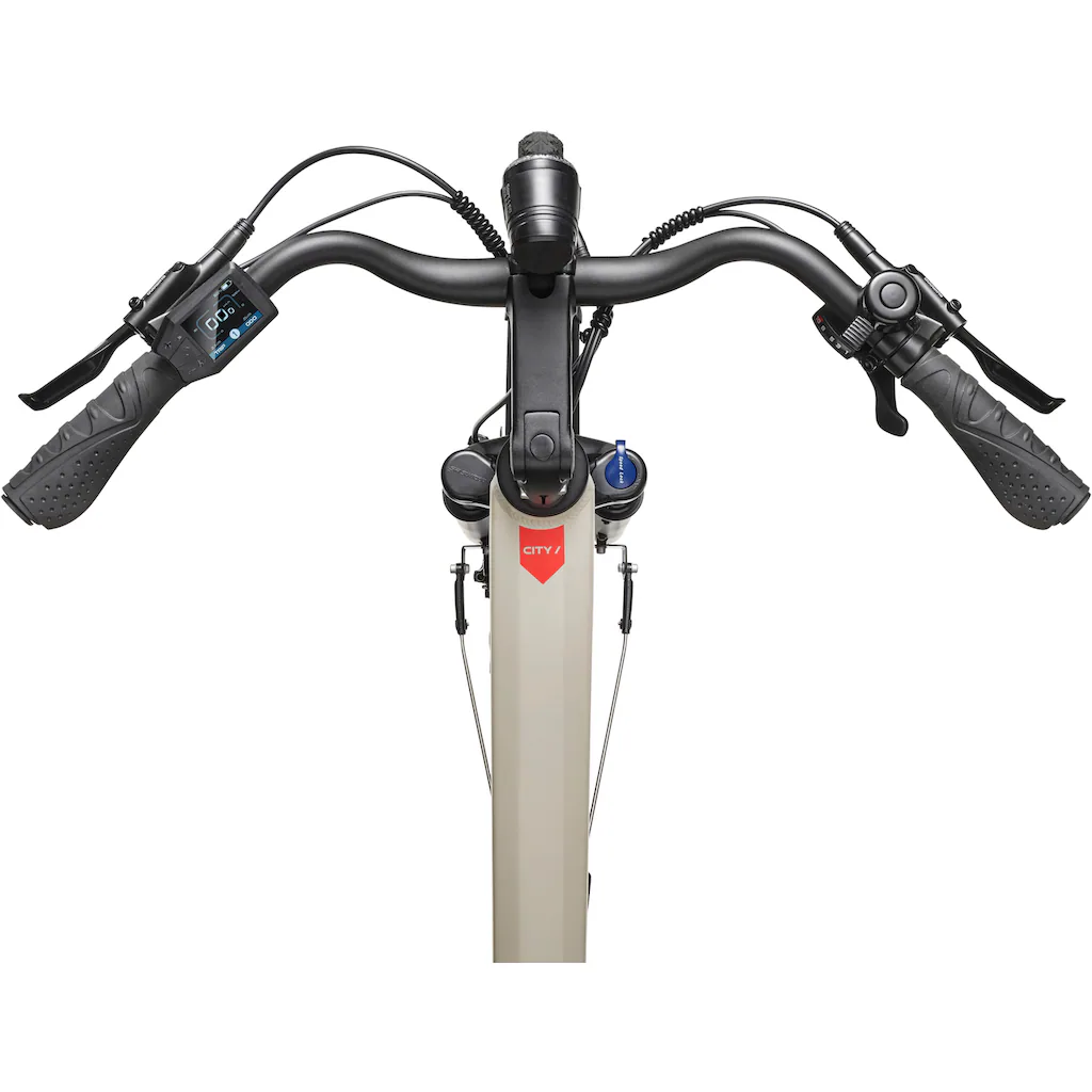 Telefunken E-Bike »Multitalent RC680« 10 Gang Shimano Mittelmotor 250 W (28 Zoll Straßenzulassung Scheibenbremsen) Pedelec Elektrofahrrad für Damen u. Herren Cityrad Vatertagsangebot