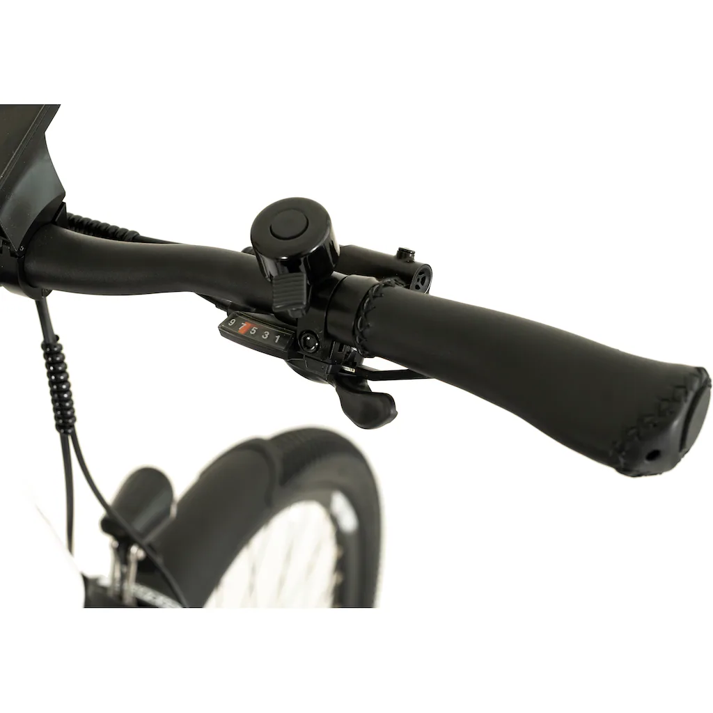 TOTEM E-Bike »DLT-40« 9 Gang Shimano Altus Mittelmotor 250 W Pedelec Elektrofahrrad für Herren auf Raten Kostenlose Rückgabe