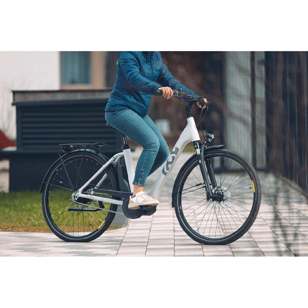 Husqvarna E-BICYCLES E-Bike »E-Citybike Eco City 1« 8 Gang Shimano Nexus Mittelmotor 250 W (28 Zoll Shimano Motor Rücktritt Scheibenbremsen Straßenzulassung) Pedelec Elektrofahrrad für Herren u. Damen Cityrad tiefer Einstie Letzte 3 Tage