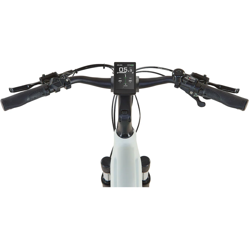 Prophete E-Bike »Entdecker 5.0« 10 Gang Shimano Deore Mittelmotor 250 W Sonderangebot