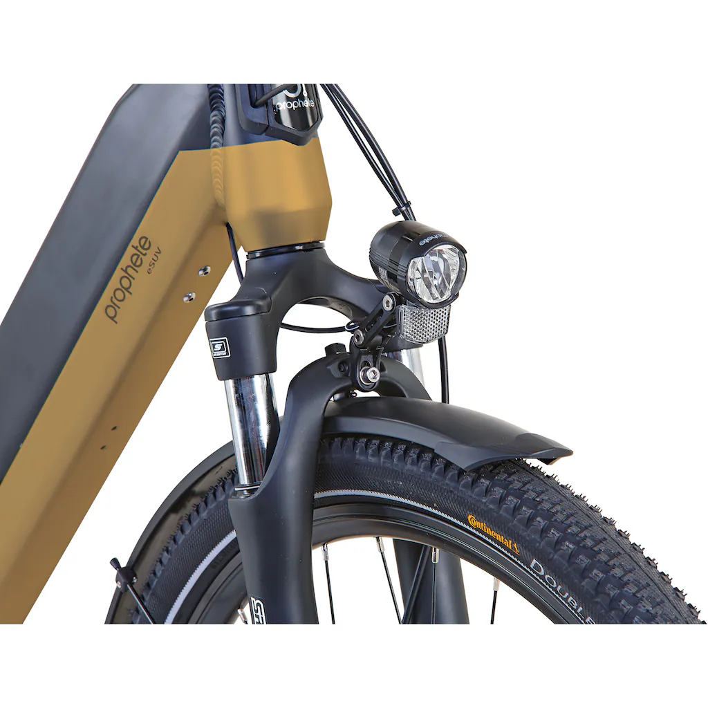 Prophete E-Bike »Entdecker InsideTwo« 10 Gang Shimano Deore Mittelmotor 250 W Pedelec Elektrofahrrad für Damen u. Herren Trekkingrad auf Raten Günstig kaufen