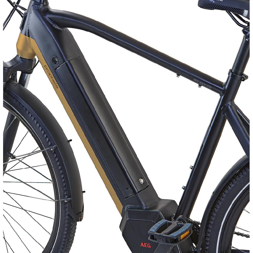 Prophete E-Bike »Entdecker InsideTwo« 10 Gang Shimano Deore Mittelmotor 250 W Pedelec Elektrofahrrad für Damen u. Herren Trekkingrad auf Raten Günstig kaufen