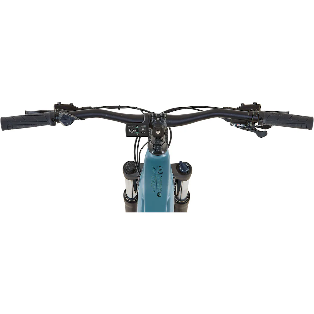Prophete E-Bike »Dice 4.0« 10 Gang Shimano Cues Mittelmotor 250 W Flash Sale