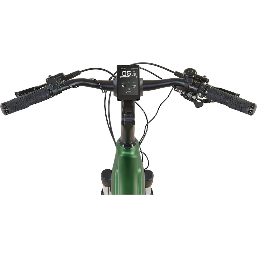 Prophete E-Bike »Entdecker 4.9« 10 Gang Shimano Cues Mittelmotor 250 W Pedelec Elektrofahrrad für Damen auf Raten Neueste Stile