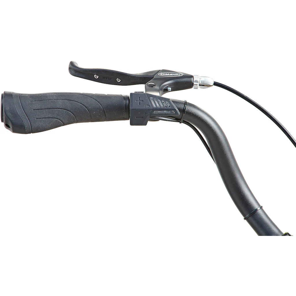 Prophete E-Bike »Geniesser 1.0« 3 Gang Shimano Nexus Frontmotor 250 W Pedelec Elektrofahrrad für Damen u. Herren Cityrad Bis zu 60% Rabatt