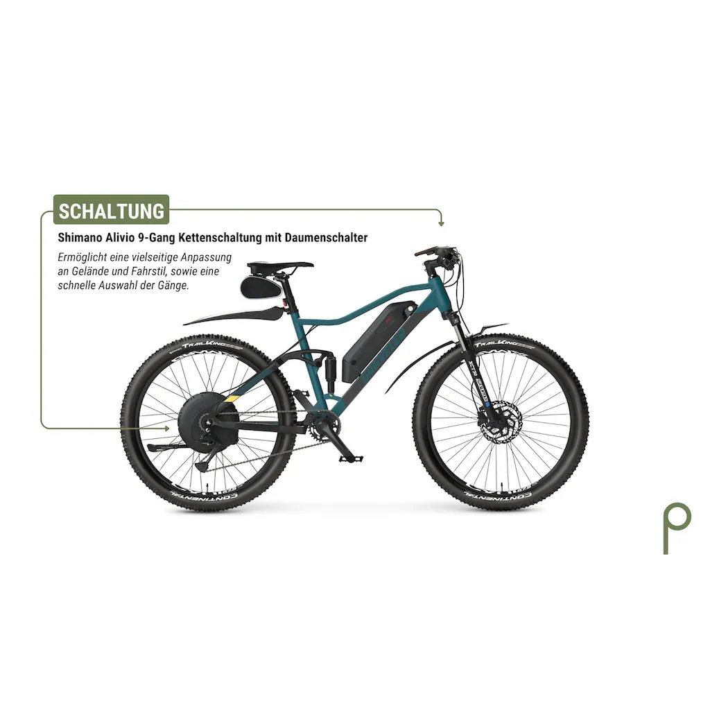 Prophete E-Bike »Graveler« 9 Gang Shimano Alivio Heckmotor 250 W Pedelec Elektrofahrrad für Damen u. Herren MTB Mountainbike Discount Store für neue Produkte