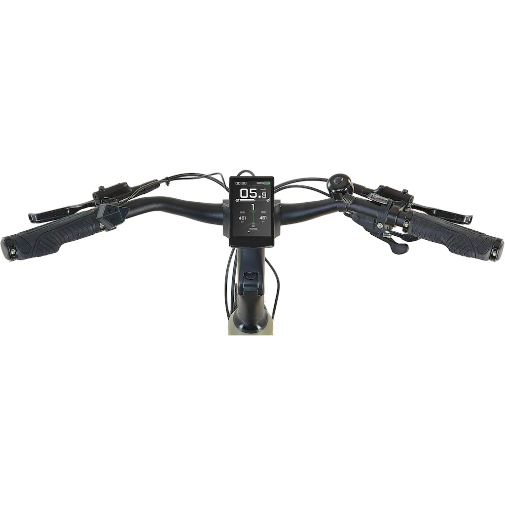 Prophete E-Bike »Entdecker 4.0« 10 Gang microSHIFT RD-M61S Mittelmotor 250 W Pedelec Elektrofahrrad für Damen Trekkingrad auf Rechnung kaufen Speichern exportieren