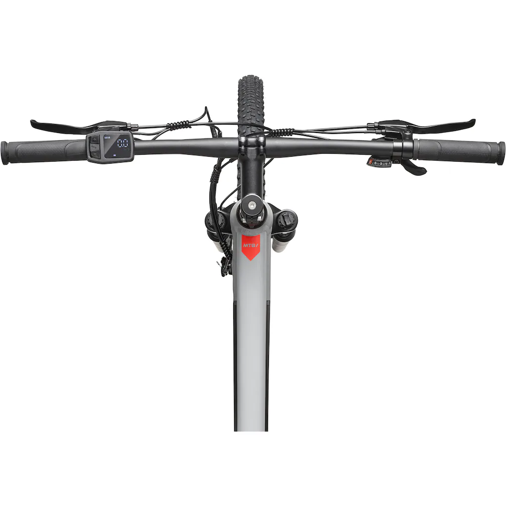 Telefunken E-Bike »Aufsteiger M921« 7 Gang Shimano Heckmotor 250 W (29 Zoll Scheibenbremsen) Pedelec Elektrofahrrad für Damen u. Herren MTB Mountainbike auf Raten Limitierter Zeitrabatt
