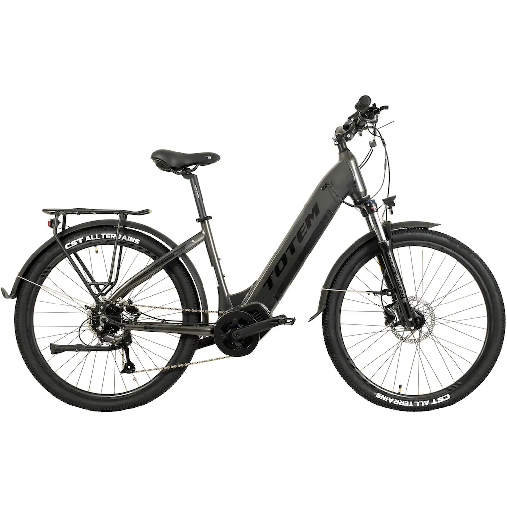TOTEM E-Bike »DLT-40« 9 Gang Shimano Altus Mittelmotor 250 W Pedelec Elektrofahrrad für Herren auf Rechnung online kaufen