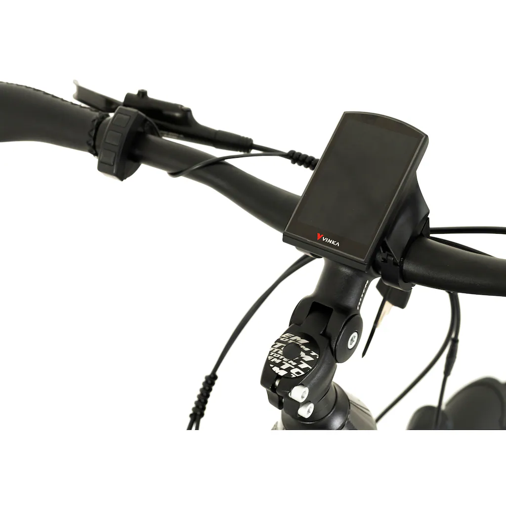 TOTEM E-Bike »DLT-40« 9 Gang Shimano Altus Mittelmotor 250 W Pedelec Elektrofahrrad für Herren auf Rechnung online kaufen Fabrikpreis