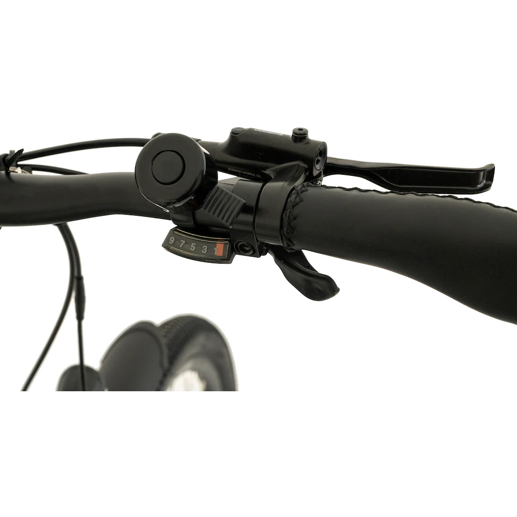 TOTEM E-Bike »DLT-40« 9 Gang Shimano Altus Mittelmotor 250 W Pedelec Elektrofahrrad für Herren auf Rechnung online kaufen Fabrikpreis