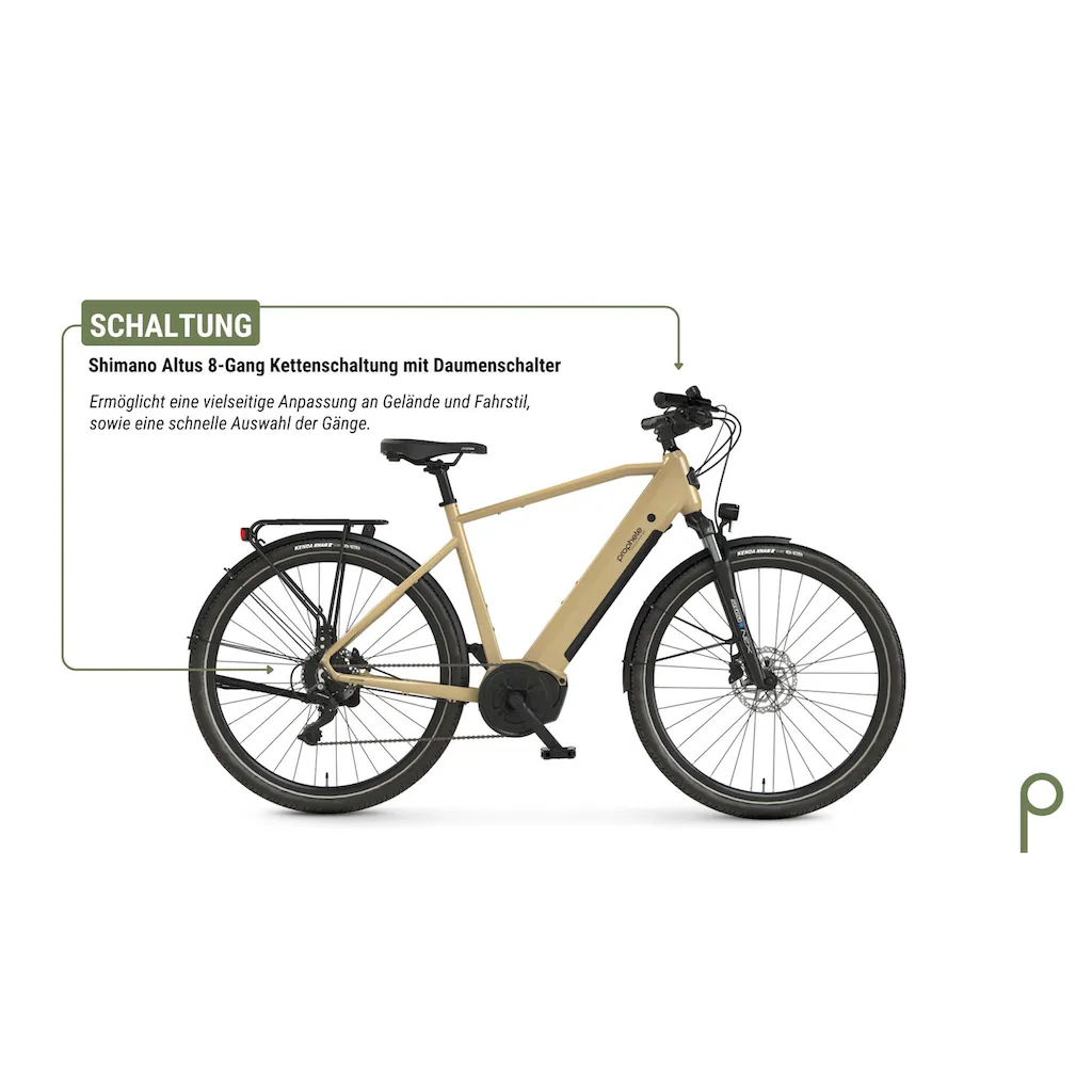 Prophete E-Bike »Entdecker 3.4« 8 Gang Shimano Mittelmotor 250 W Pedelec Elektrofahrrad für Herren Trekkingrad auf Rechnung Rabatt