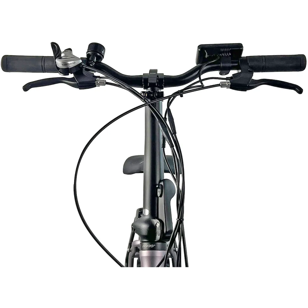 LLobe E-Bike »Elektro Faltrad 20" Terrain grau« Shimano Tourney Heckmotor 250 W Günstig kaufen
