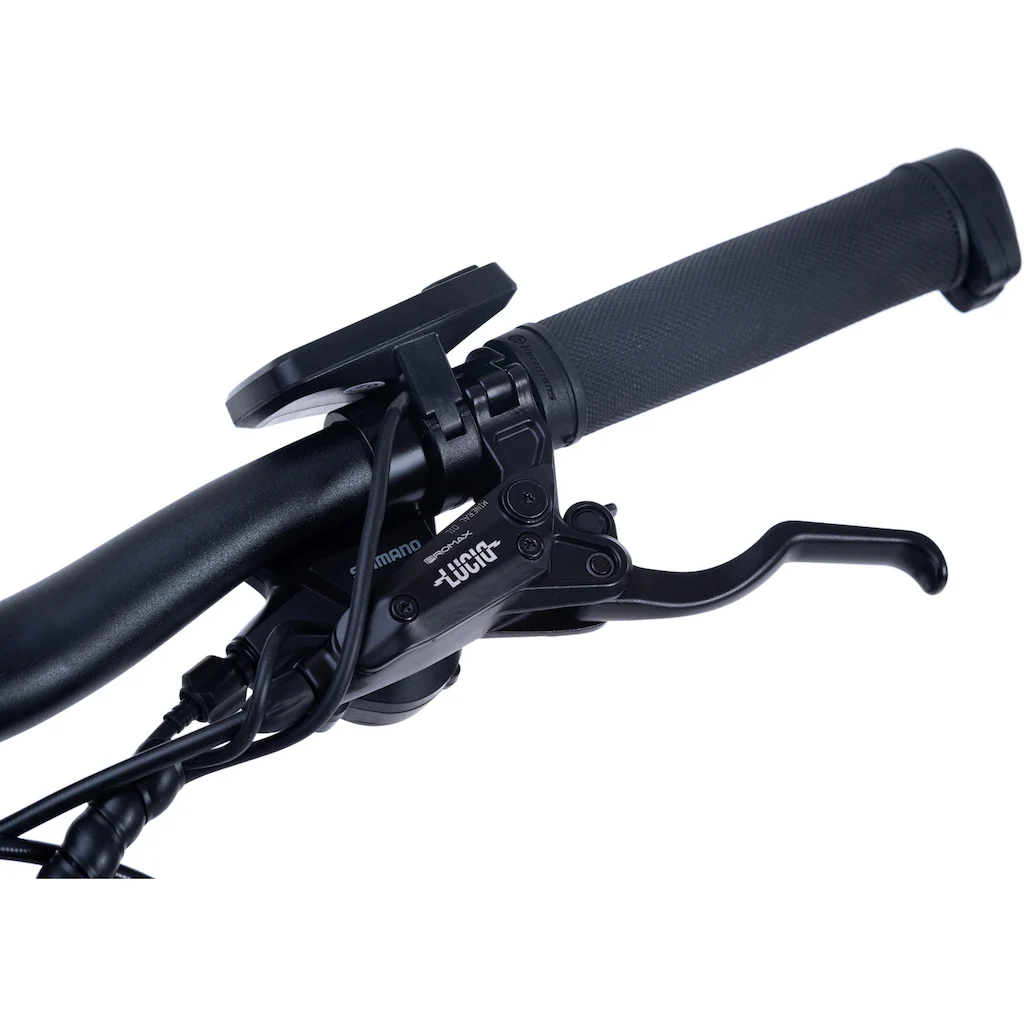 Adore E-Bike »Enforce« 24 Gang Shimano Acera Heckmotor 250 W Pedelec Elektrofahrrad für Damen u. Herren MTB Mountainbike auf Rechnung bestellen Exklusivangebot