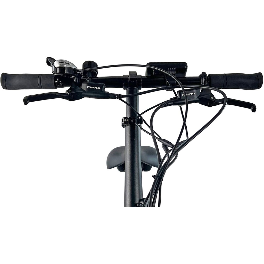 LLobe E-Bike »E-Falt-Fatbike 20" Robust Pro« Shimano Tourney Heckmotor 250 W Preisnachlass