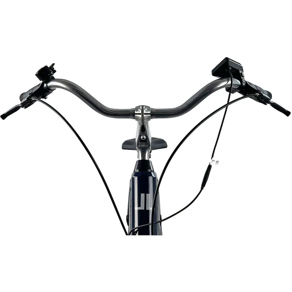 LLobe E-Bike »City E-Bike 28" Millenium 2G« Heckmotor 250 W auf Raten Black Friday