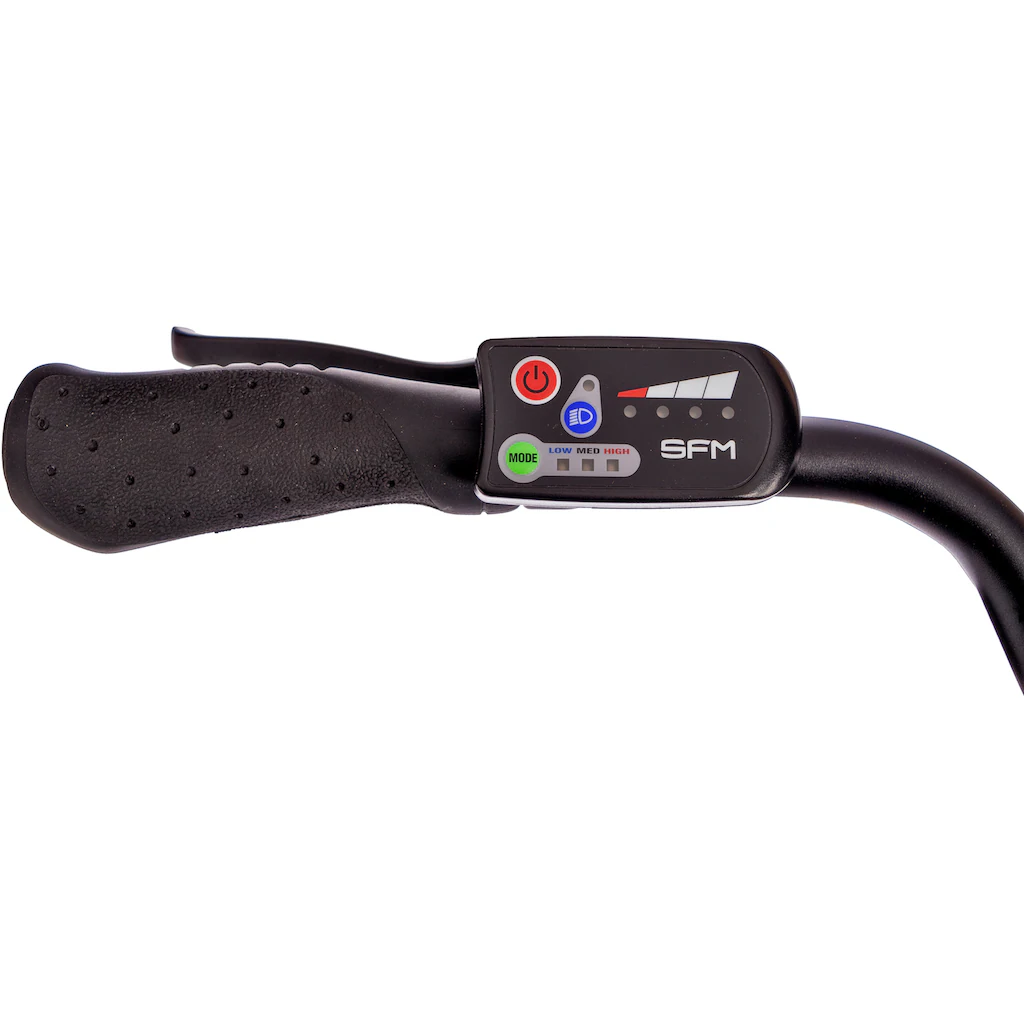 SAXONETTE E-Bike »Advanced Plus« 3 Gang Shimano SHIMANO Nexus Frontmotor 250 W (mit Akku-Ladegerät u. integr. Rahmenschloss) Pedelec Elektrofahrrad für Damen u. Herren Cityrad Online Outlet