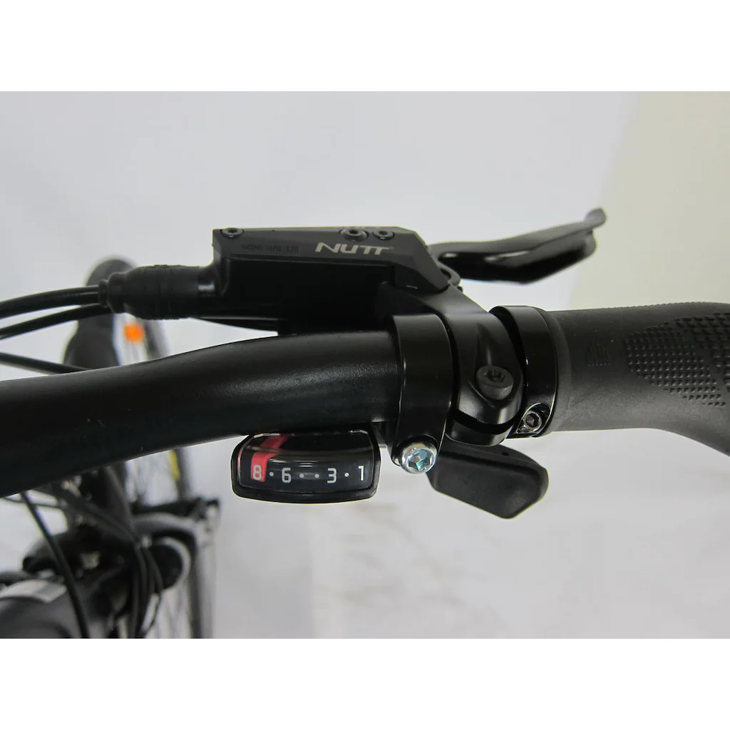 Maxtron E-Bike »MT 12« 8 Gang Shimano Altus Heckmotor 250 W Pedelec Elektrofahrrad für Damen u. Herren Trekkingrad auf Rechnung bestellen Wochenangebot
