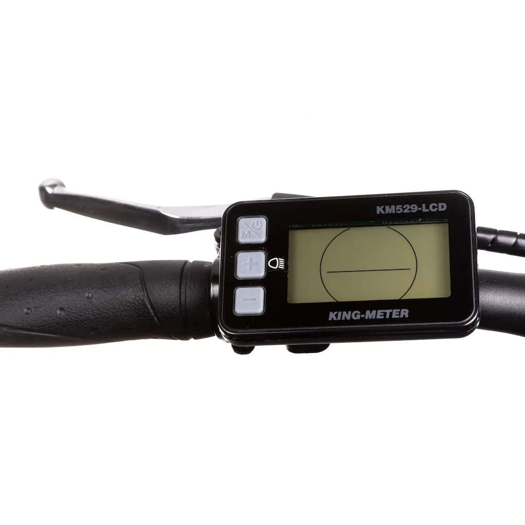 Maxtron E-Bike »MT 12« 8 Gang Shimano Altus Heckmotor 250 W Pedelec Elektrofahrrad für Damen u. Herren Trekkingrad auf Rechnung bestellen Wochenangebot