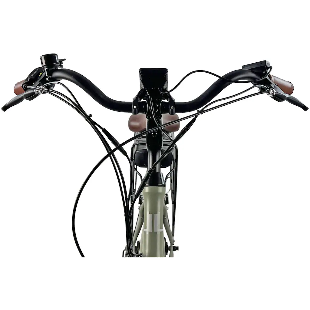LLobe E-Bike »City E-Bike 28" County grün« Shimano Altus Heckmotor 250 W auf Rechnung Letzte 3 Tage