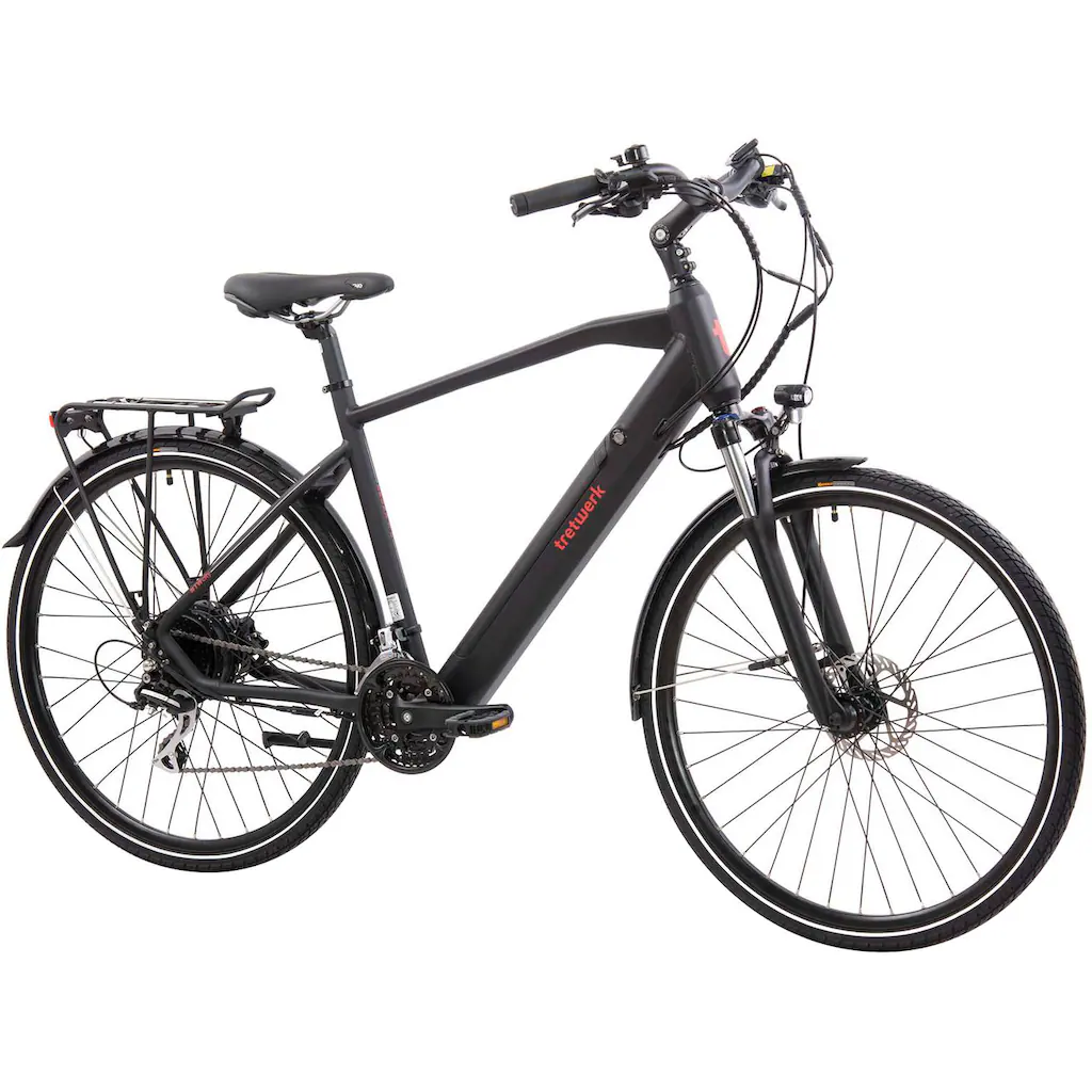 Tretwerk E-Bike »Bronx 5.0« 24 Gang Shimano Altus M310 Heckmotor 250 W Pedelec Elektrofahrrad für Damen u. Herren Trekkingrad auf Rechnung online kaufen