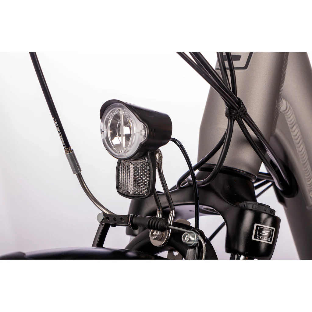 SAXONETTE E-Bike »Advanced Plus« 3 Gang Shimano SHIMANO Nexus Frontmotor 250 W (mit Akku-Ladegerät u. integr. Rahmenschloss) Pedelec Elektrofahrrad für Damen u. Herren Cityrad Letzter Tag
