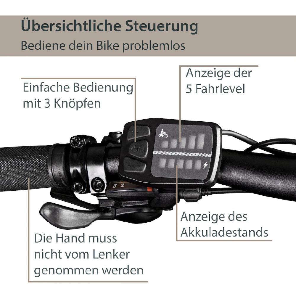 AGON E-Bike »Alpha« 24 Gang Heckmotor 250 W Pedelec Elektrofahrrad für Damen u. Herren MTB Mountainbike auf Raten Nur für heute