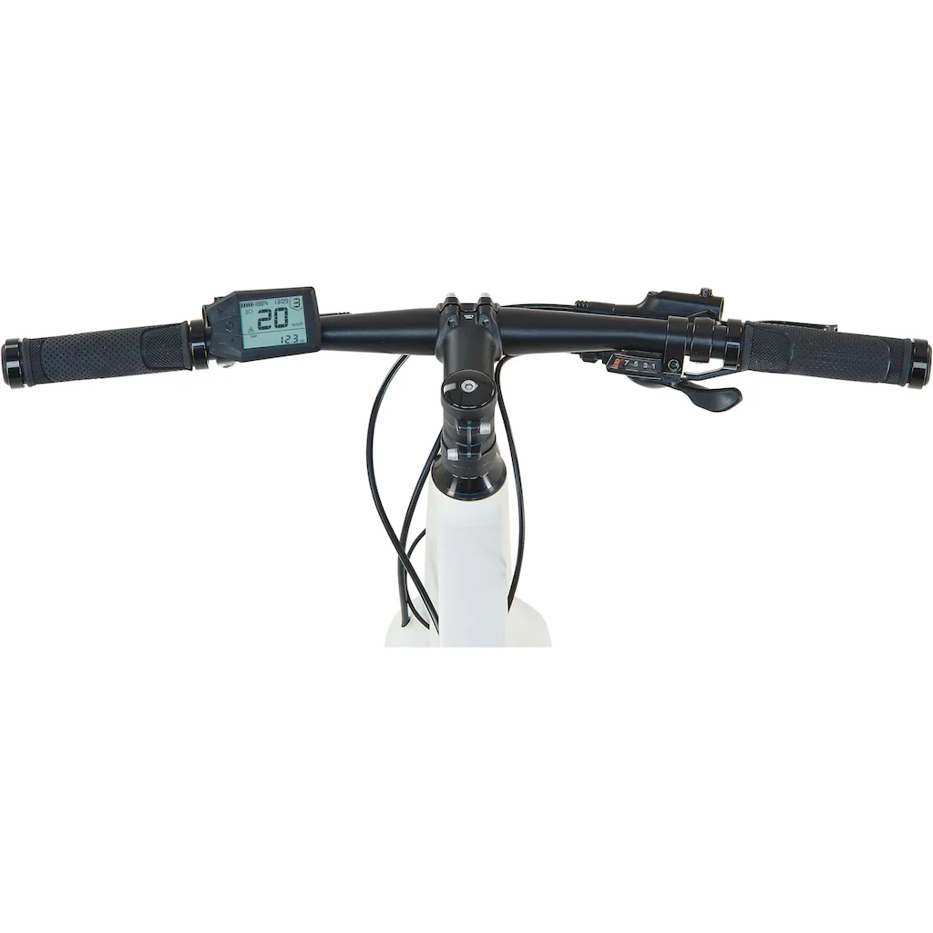 Prophete E-Bike »Urbanicer 2.0« 9 Gang Shimano Alivio Heckmotor 250 W Pedelec Elektrofahrrad für Damen u. Herren Urbanbike Sonderangebot der Fabrik