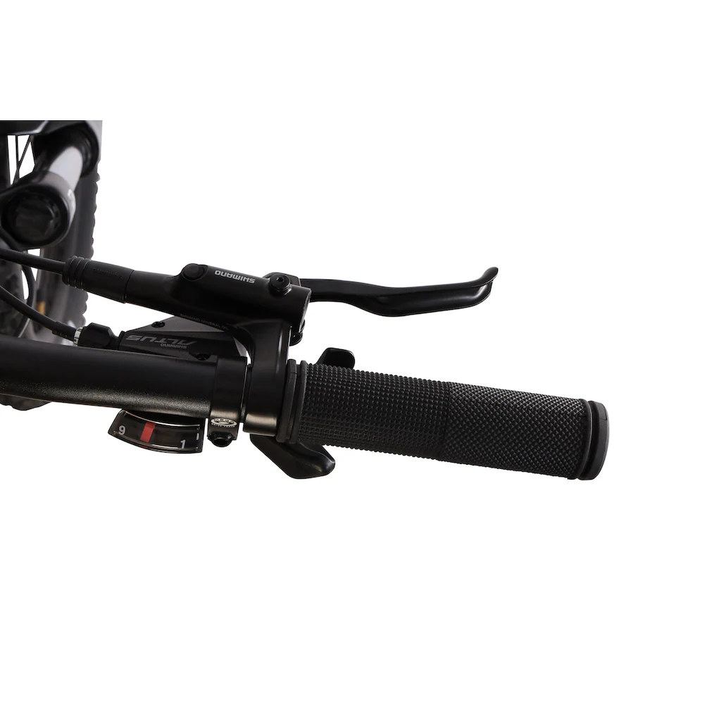 Maxtron E-Bike »MT 15X« 9 Gang Shimano Alivio Mittelmotor 250 W Pedelec Elektrofahrrad für Damen u. Herren MTB Mountainbike Super Rabatt