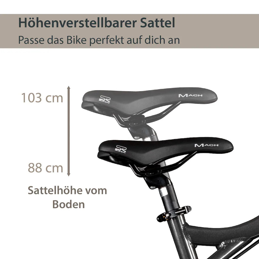 AGON E-Bike »Alpha« 24 Gang Heckmotor 250 W Pedelec Elektrofahrrad für Damen u. Herren MTB auf Rechnung online bestellen Rabatte dieses Monats