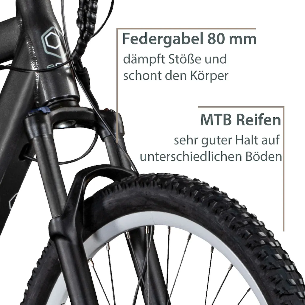 AGON E-Bike »Alpha« 24 Gang Heckmotor 250 W Pedelec Elektrofahrrad für Damen u. Herren MTB auf Rechnung online bestellen Rabatte dieses Monats