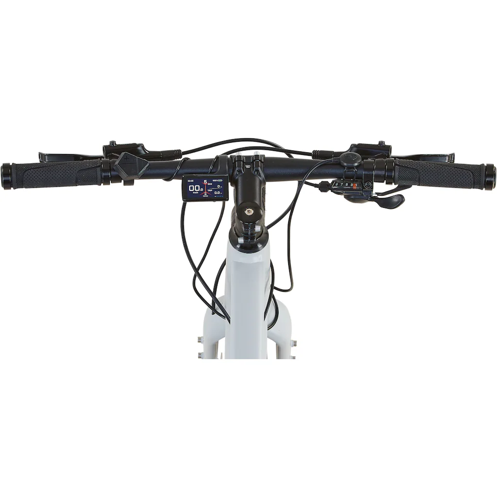 Prophete E-Bike »Urbanicer 2.9« 9 Gang Shimano Alivio Heckmotor 250 W Pedelec Elektrofahrrad für Herren Urbanbike Günstiger Verkauf