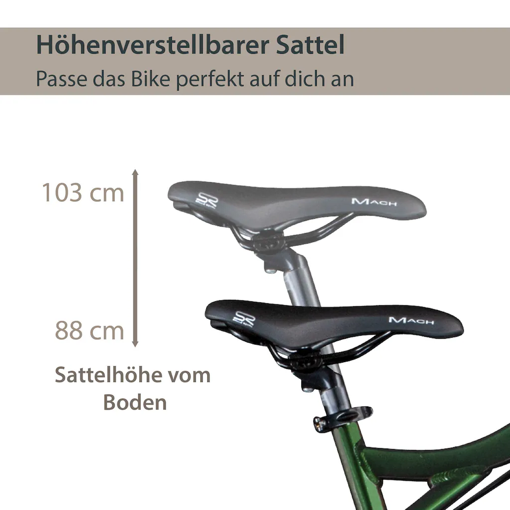 AGON E-Bike »Alpha« 24 Gang Heckmotor 250 W Pedelec Elektrofahrrad für Damen u. Herren MTB Mountainbike auf Rechnung Flash Sale