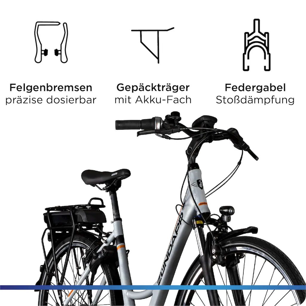 Zündapp E-Bike »X200« 7 Gang Shimano Nexus Mittelmotor 250 W Pedelec Elektrofahrrad für Damen u. Herren Cityrad Online