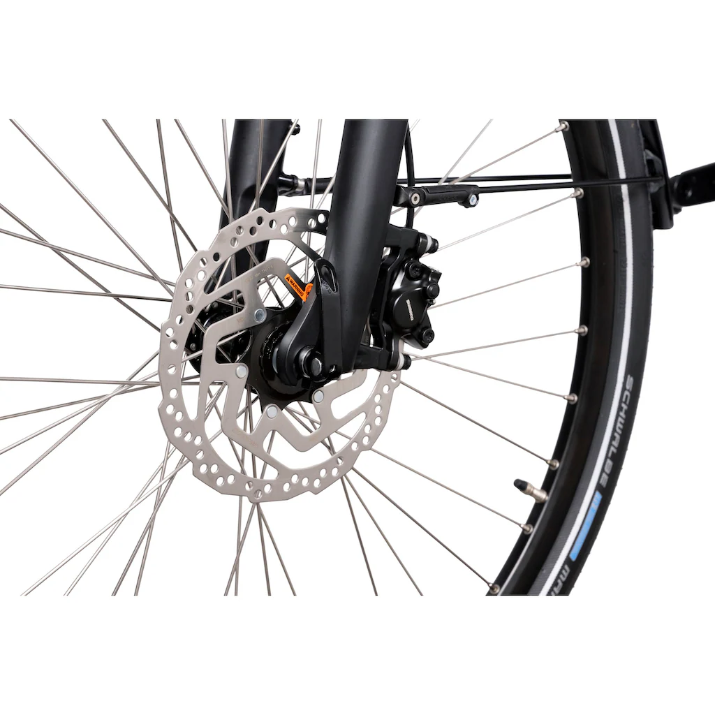HAWK Bikes E-Bike »eCity Wave 400« 8 Gang Shimano Pedelec Elektrofahrrad für Damen u. Herren Cityrad auf Rechnung online kaufen Verkauf