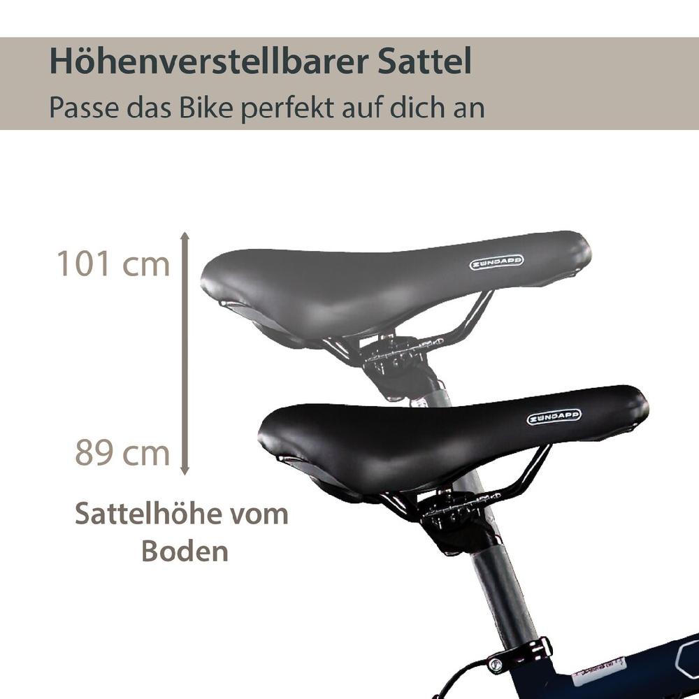 AGON E-Bike »Avesa« 21 Gang Heckmotor 250 W Pedelec Elektrofahrrad für Damen u. Herren Trekkingrad Lagerräumung