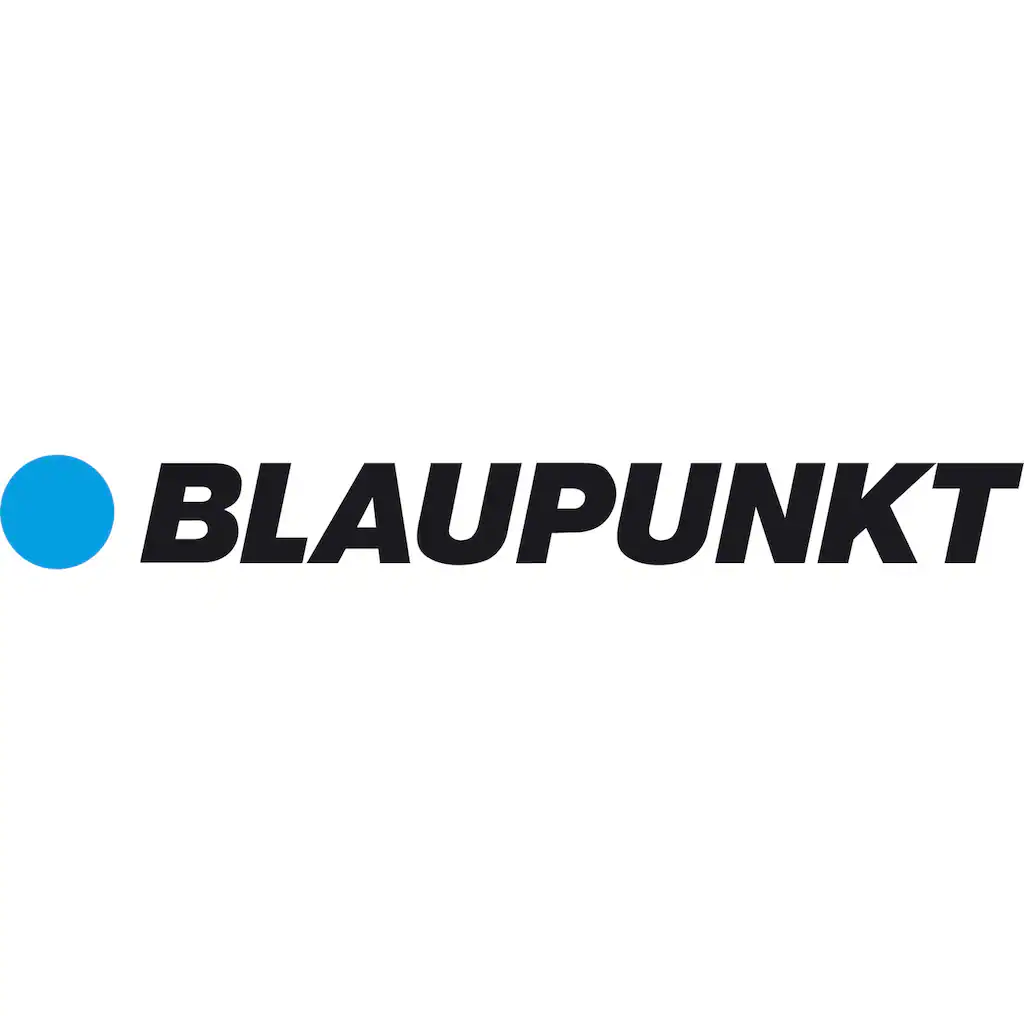 Blaupunkt E-Bike Akku »Blaupunkt Gepäckträger Akku 36 Volt« 36 V auf Raten Begrenzte Freigabe
