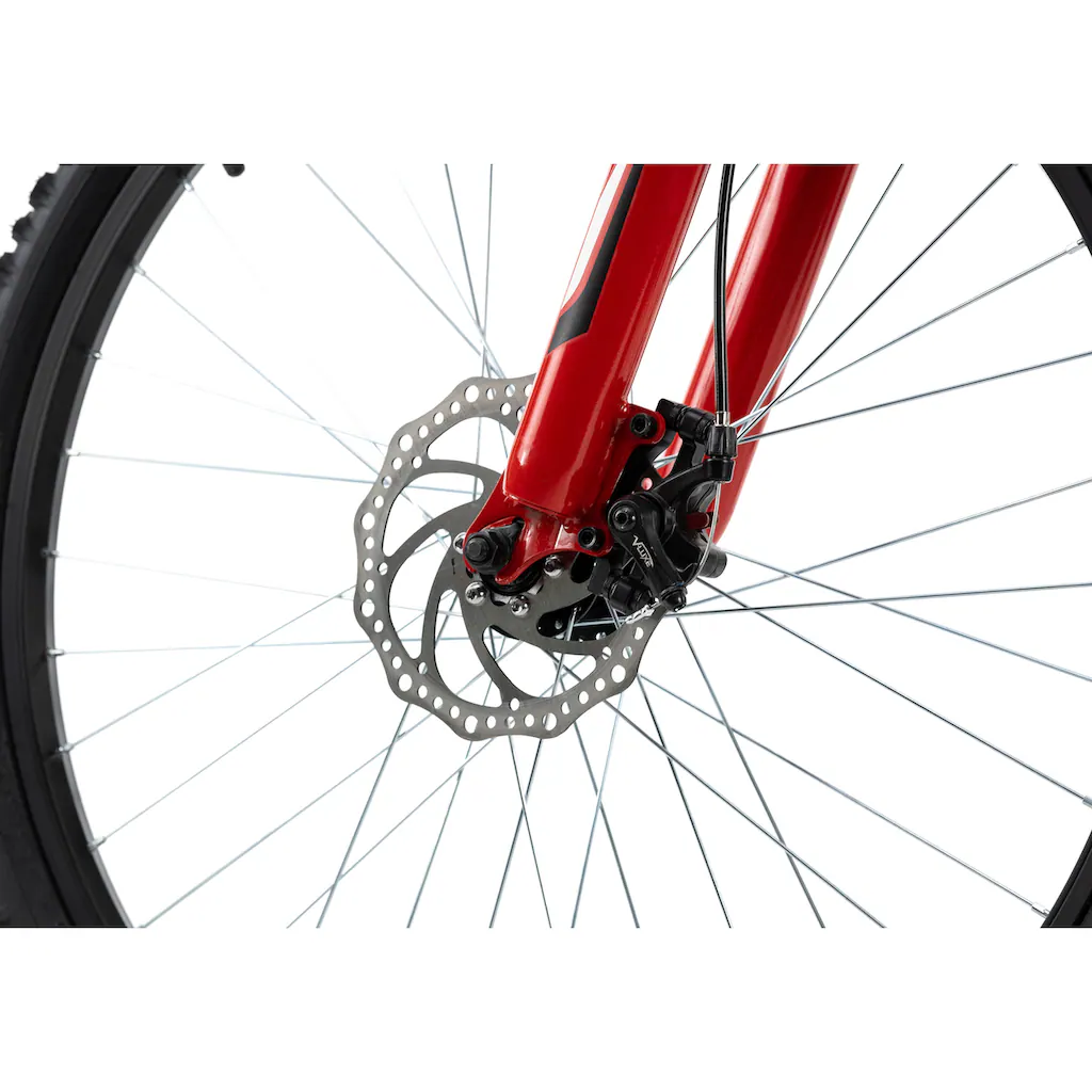 KS Cycling Mountainbike »Xtinct« 21 Gang Shimano Tourney Schaltwerk Kettenschaltung für Herren Kettenschaltung auf Rechnung bestellen Heißer Verkauf