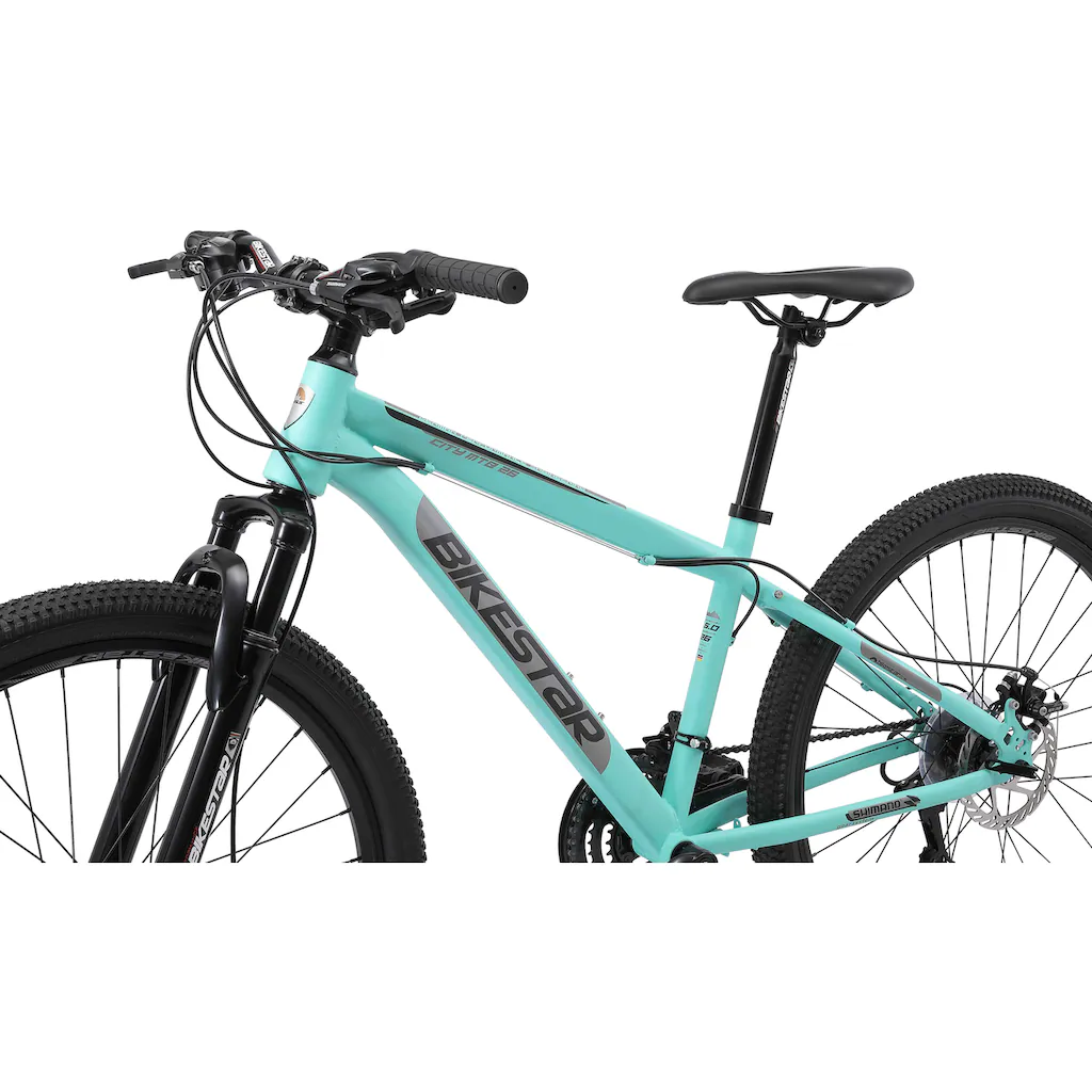 Bikestar Mountainbike 21 Gang Shimano RD-TY300 Schaltwerk Kettenschaltung für Damen und Herren Kettenschaltung auf Rechnung bestellen Super Rabatt