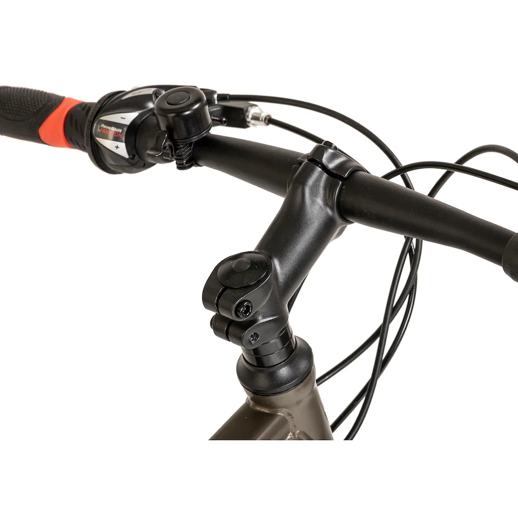 WYLD Mountainbike »Sharp« 21 Gang Kettenschaltung Outlet