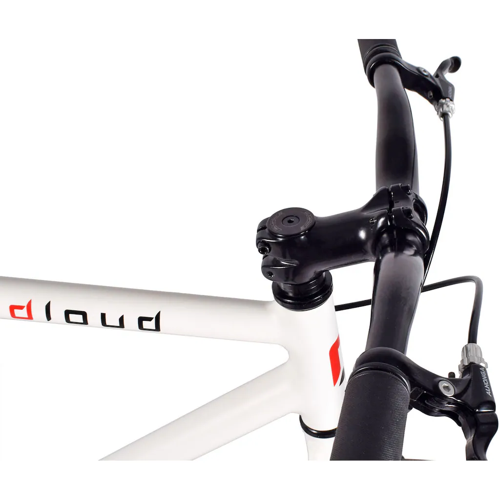 REDLOUD Singlespeed »FA.01 (Fixie)« 1 Gang auf Rechnung kaufen Begrenztes Angebot