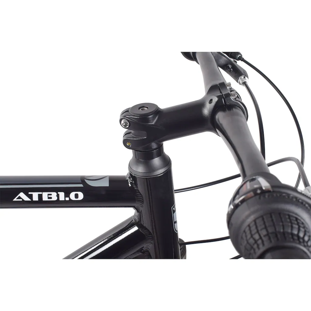 WYNN Mountainbike »ATB1.0« 21 Gang Shimano SHIMANO Tourney RD-TY300 Schaltwerk Kettenschaltung auf Rechnung Top Angebot
