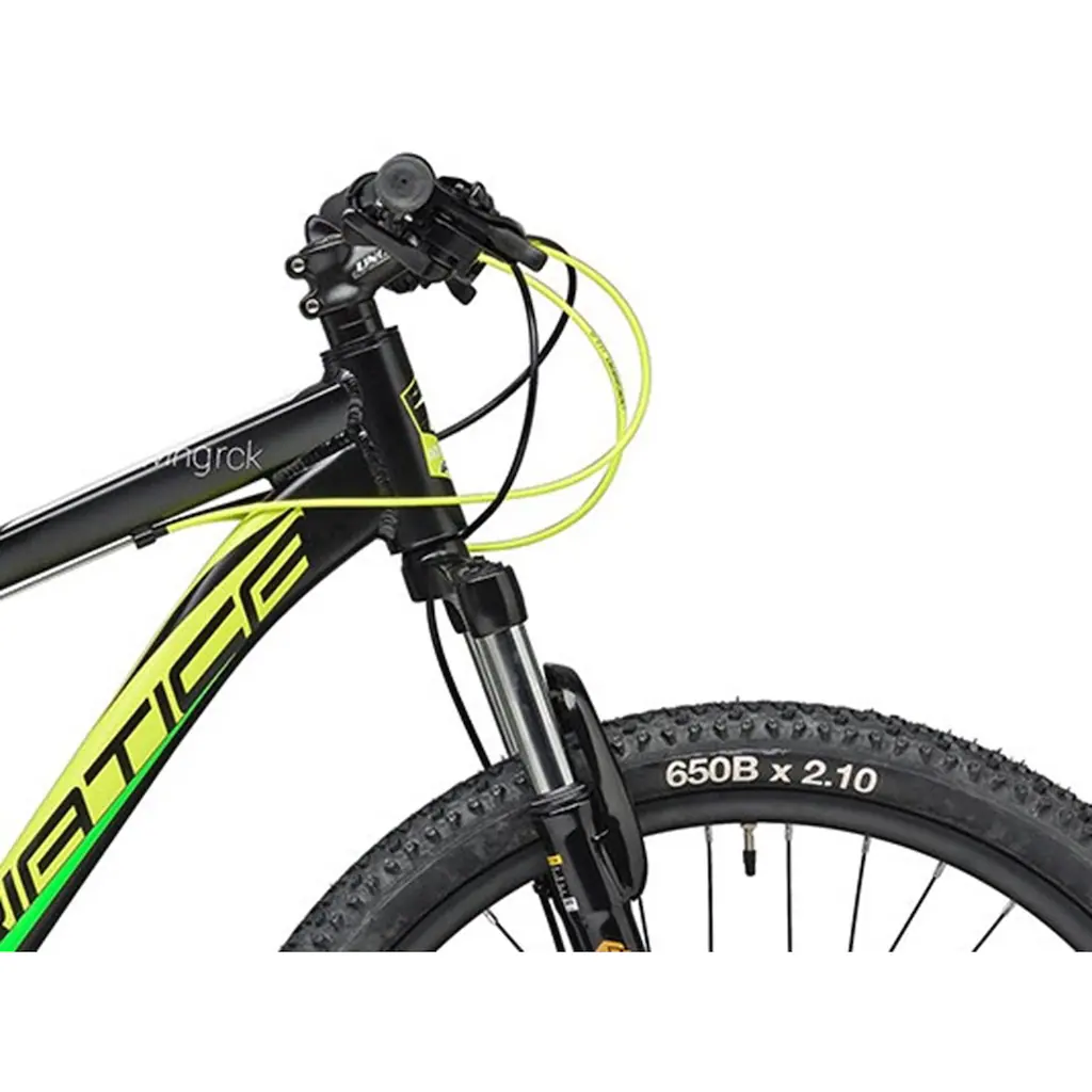Adriatica Mountainbike »RC-K« 21 Gang Shimano TY500 Schaltwerk Kettenschaltung für Herren Kettenschaltung auf Rechnung Saisonschlussverkauf